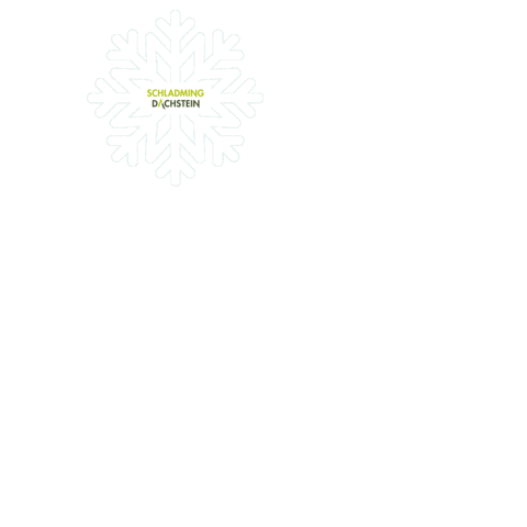 Snow Snowflake Sticker by Schladming-Dachstein