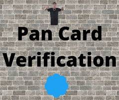 Verify Pan Card GIF