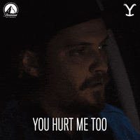 Paramount Network Pain GIF by Yellowstone