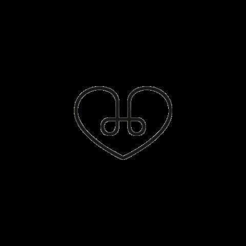 The Holistic Concept GIF