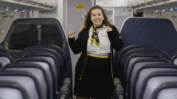 Spirit Airlines GIF