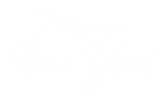 Celebrate New Year Sticker by meemsstudio