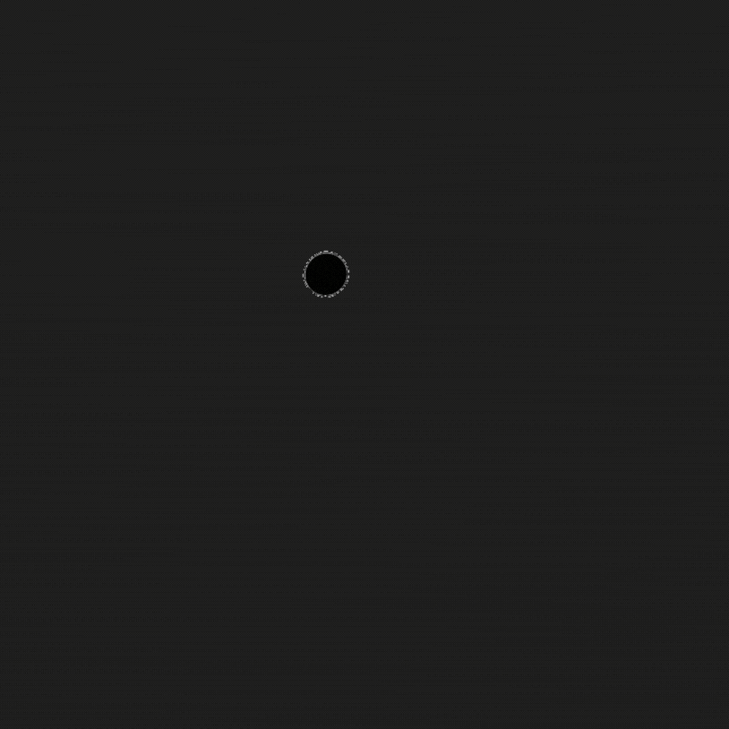 Pira05 GIF by Pira Studio