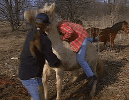 ted nugent horse GIF by Team Coco