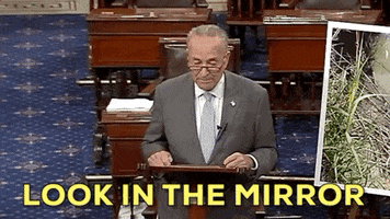 news chuck schumer look in the mirror GIF