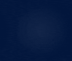 LABOR Wakeskate GIF