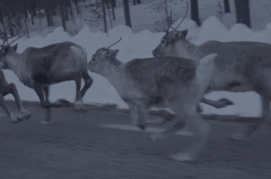 200.gif?cid=fc005b08ef6414918903eaf6c08621fe46b4d7bcb10c2fcb&rid=200.gif&ct=g