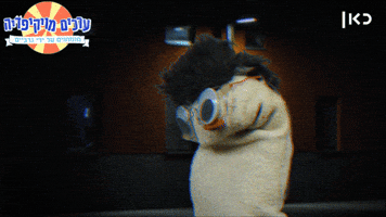 Socks Wikisocks GIF by Garbaim
