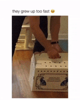 200.gif?cid=fc005b08a4ca5c028e69ad2cfb210a74dd28914c277e72e8&rid=200.gif&ct=g