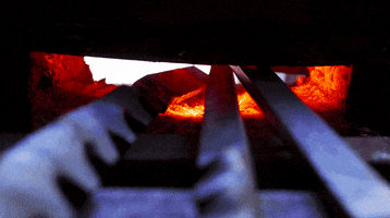 Fire Flame GIF by University of Florida