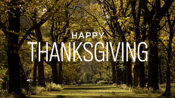 GIF by Central Park Conservancy