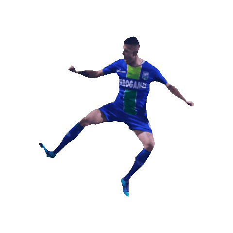 Feralpisalò Sticker