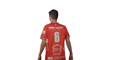 Sport Handball Sticker by HSC Radolfzell