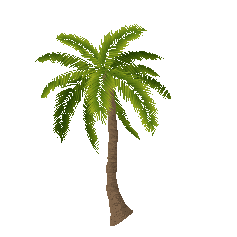 Palm Tree Beach Sticker by CaliSocial