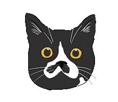 Cat Sticker