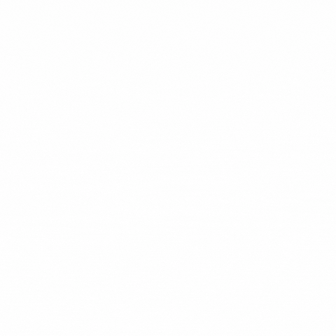 Sampa's Pizza GIF