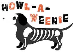 Halloween Sticker by homesalivepets