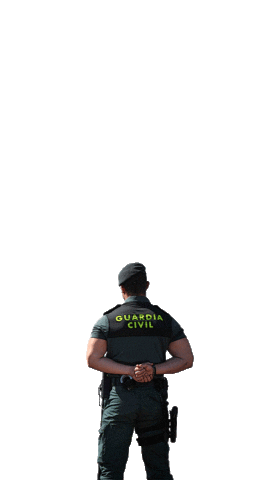 Academica Cronos Sticker