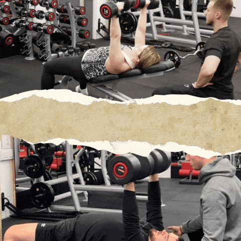 Personal Trainer GIF