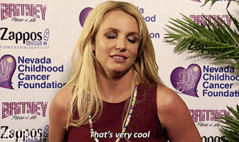 introducing britney spears GIF