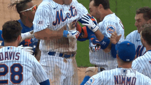 Ny Mets Sport GIF by New York Mets - Find & Share on GIPHY