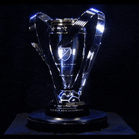 mls cup GIF by Major League Soccer