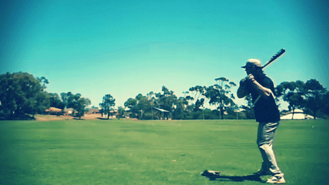 home run animated gif