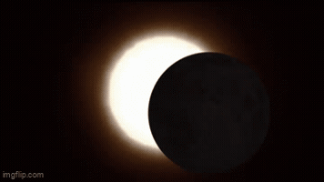 Kingkaps7 GIF