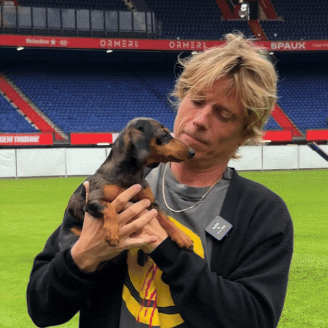 De Kuip Matteo GIF by DI-RECT