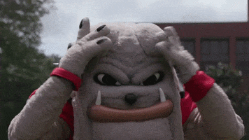Georgia Bulldogs Wow GIF by University of Georgia