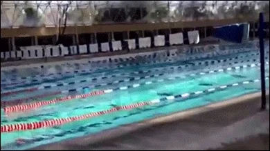 pool earthquake GIF