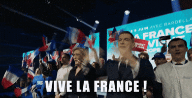 Vive La France GIF by Occidentis