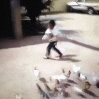 Goose Attack GIFs - Find & Share on GIPHY