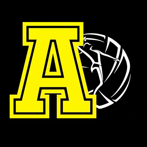 Aspes Volley Milano GIF