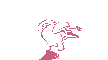 Hayabusa Manga Verlag Sticker