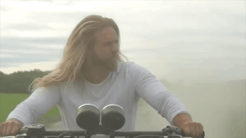 anaarnt  GIF