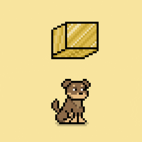 Do It Wow GIF by Doginal Dogs