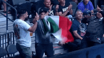 Sport Mexico GIF by UFC
