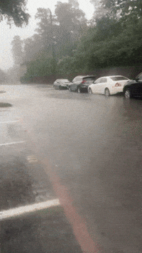 Heavy Rain Triggers Flooding in Southeast Texas