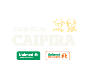 Arraianohangar Sticker by Unimed Federação Minas