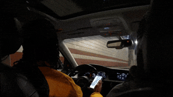 009fly GIF