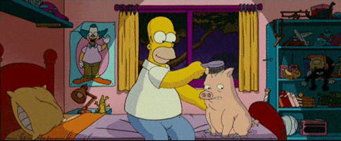 https://media0.giphy.com/media/M1VKnLgDFOUDe/200_s.gif