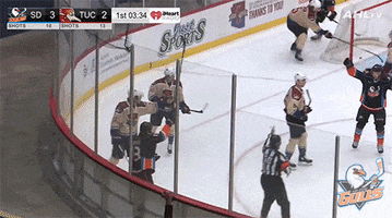 Celebrate Anaheim Ducks GIF by San Diego Gulls