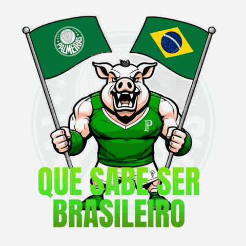 Mogidascruzes GIF by consuladosep.com.br