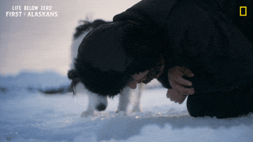 Dog Looking GIF by National Geographic Channel