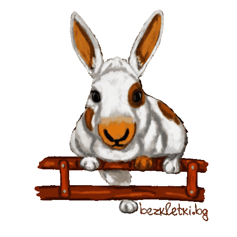 Bunny Sticker by Невидими Животни