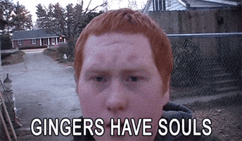 code ginger GIF