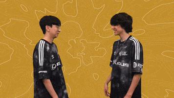 Esports River GIF by 100 Thieves