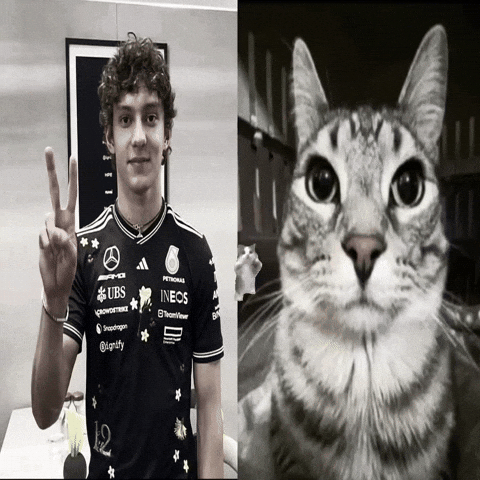 Formula 1 F1 GIF