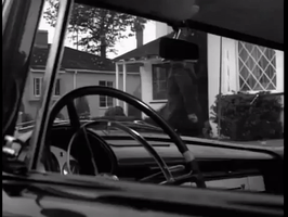 theofficialstartrek  GIF